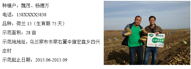 鄉(xiāng)喜液體肥在內(nèi)蒙古馬鈴薯上的應(yīng)用效果——增產(chǎn)增收